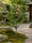 Image to render