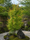 Image to render