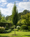 Image to render