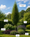 Image to render