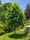 Image to render
