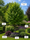 Image to render