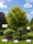 Image to render