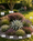 Image to render