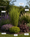 Image to render