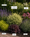 Image to render