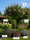 Image to render