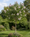 Image to render
