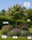 Image to render