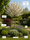 Image to render