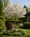 Image to render