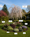 Image to render