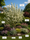 Image to render