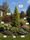 Image to render