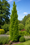 Image to render
