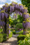 Image to render