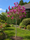Image to render