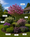 Image to render