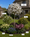 Image to render