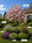 Image to render