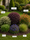Image to render