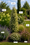 Image to render