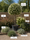 Image to render