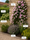 Image to render