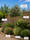 Image to render