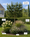 Image to render