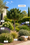 Image to render