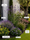 Image to render