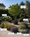 Image to render
