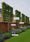 Image to render