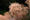 Image to render