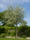 Image to render