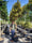 Image to render