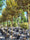 Image to render