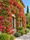 Image to render