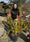 Image to render