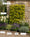 Image to render