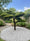 Image to render