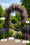 Image to render
