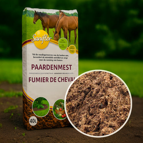 Fumier de Cheval