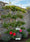 Image to render