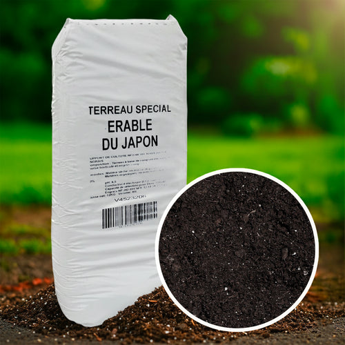 Terreau pour érable du Japon - 40L