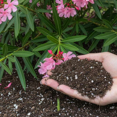 Terreau pour plantes méditerranéennes - 40 L