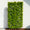 Image to render