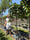 Image to render