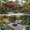 Image to render